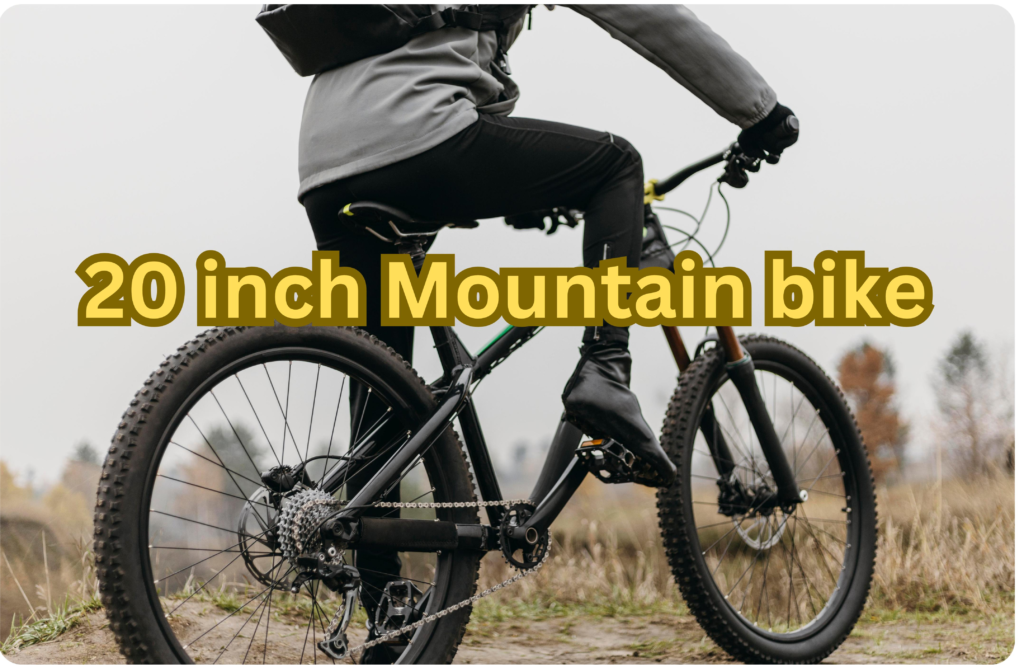 20 inch mountain bike